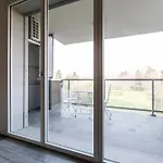Bertelli 4